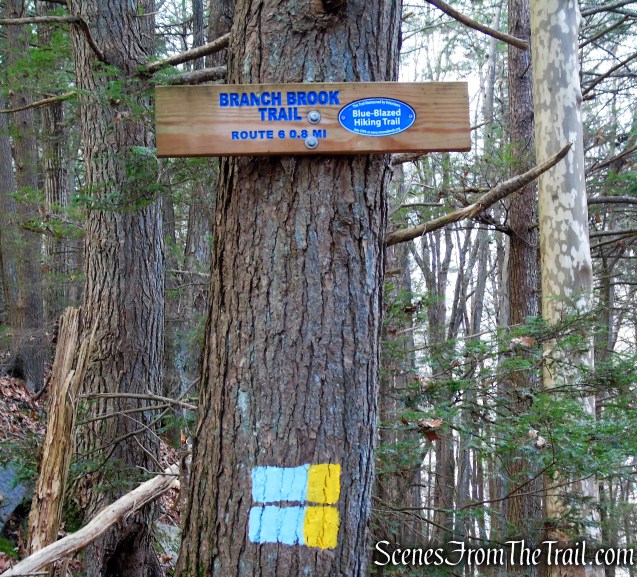 Branch Brook Trail - Mattatuck State Forest