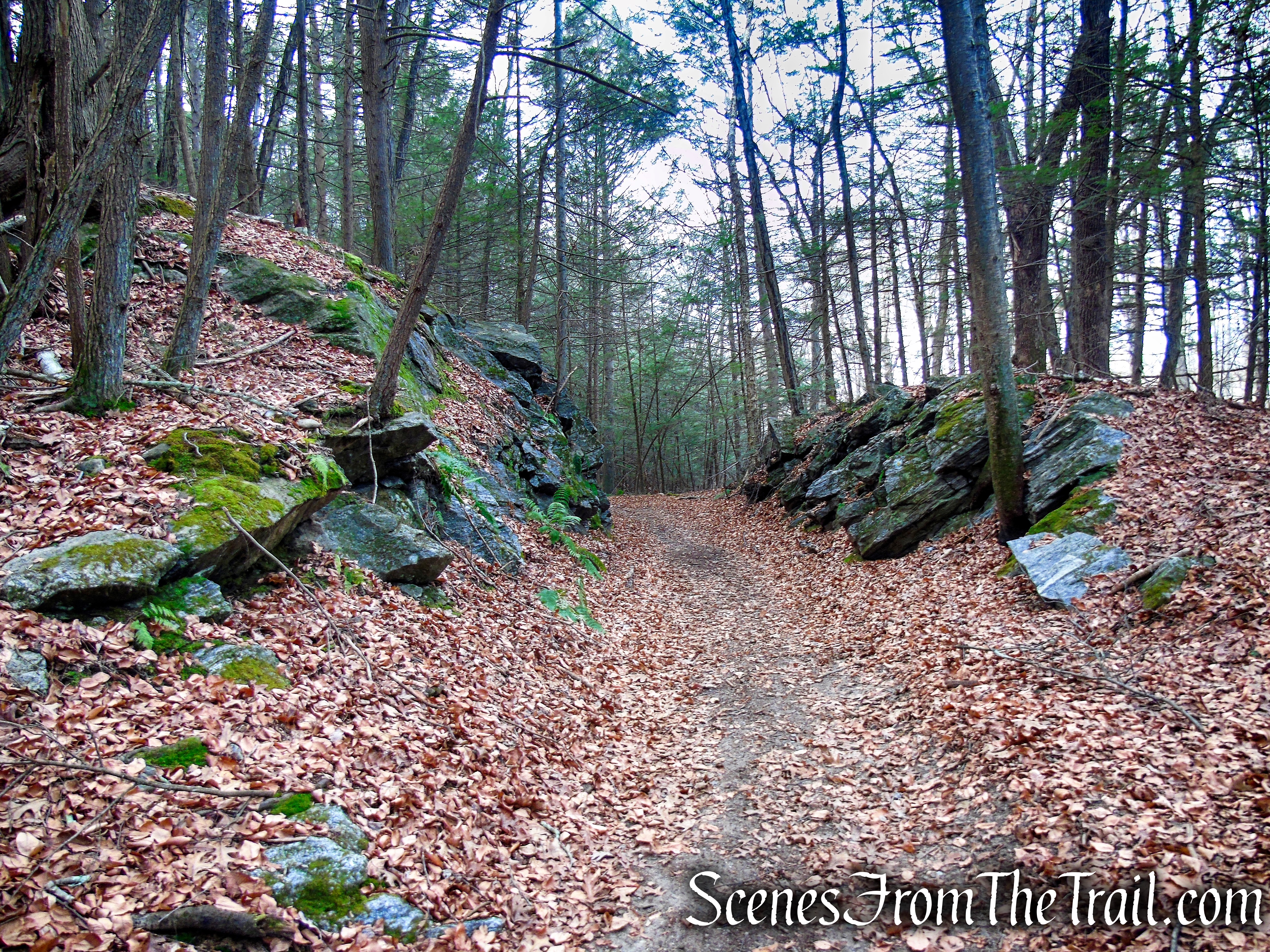 Branch Brook Trail – Mattatuck State Forest
