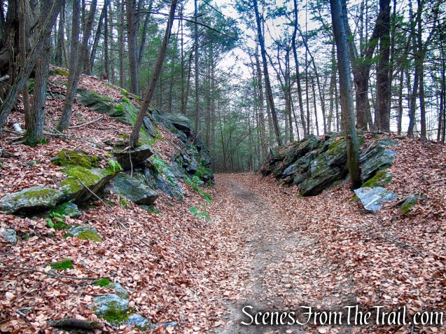 Branch Brook Trail – Mattatuck State Forest