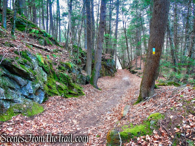 Branch Brook Trail – Mattatuck State Forest