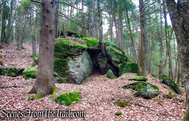 Branch Brook Trail – Mattatuck State Forest