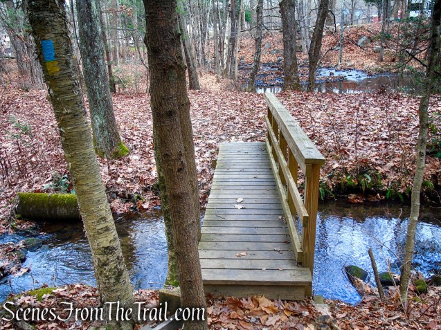 Branch Brook Trail – Mattatuck State Forest