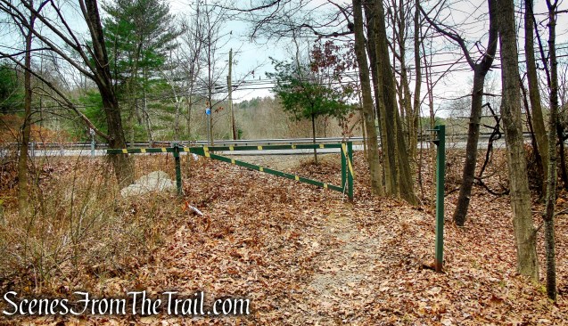 Branch Brook Trail – Mattatuck State Forest