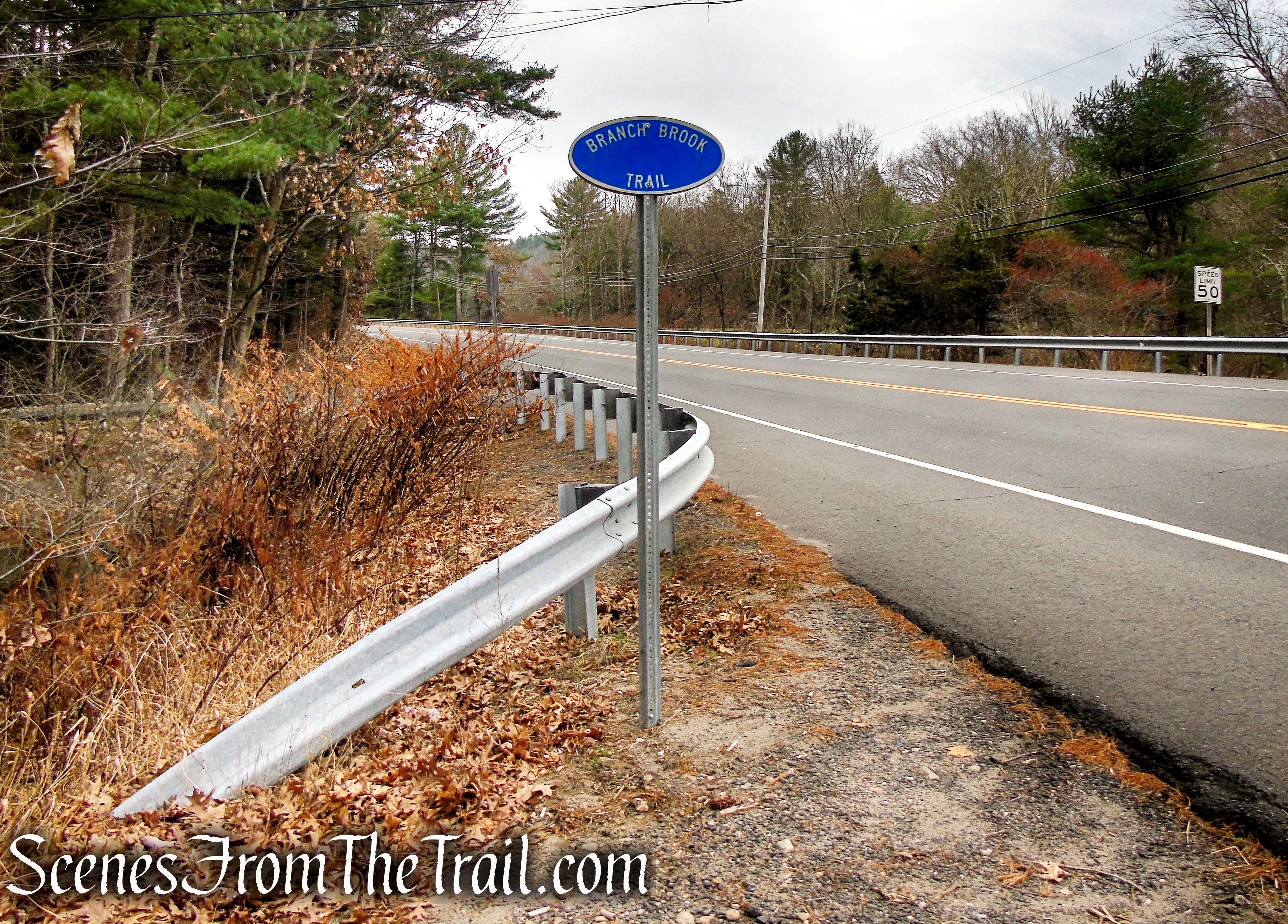 Branch Brook Trail – Mattatuck State Forest