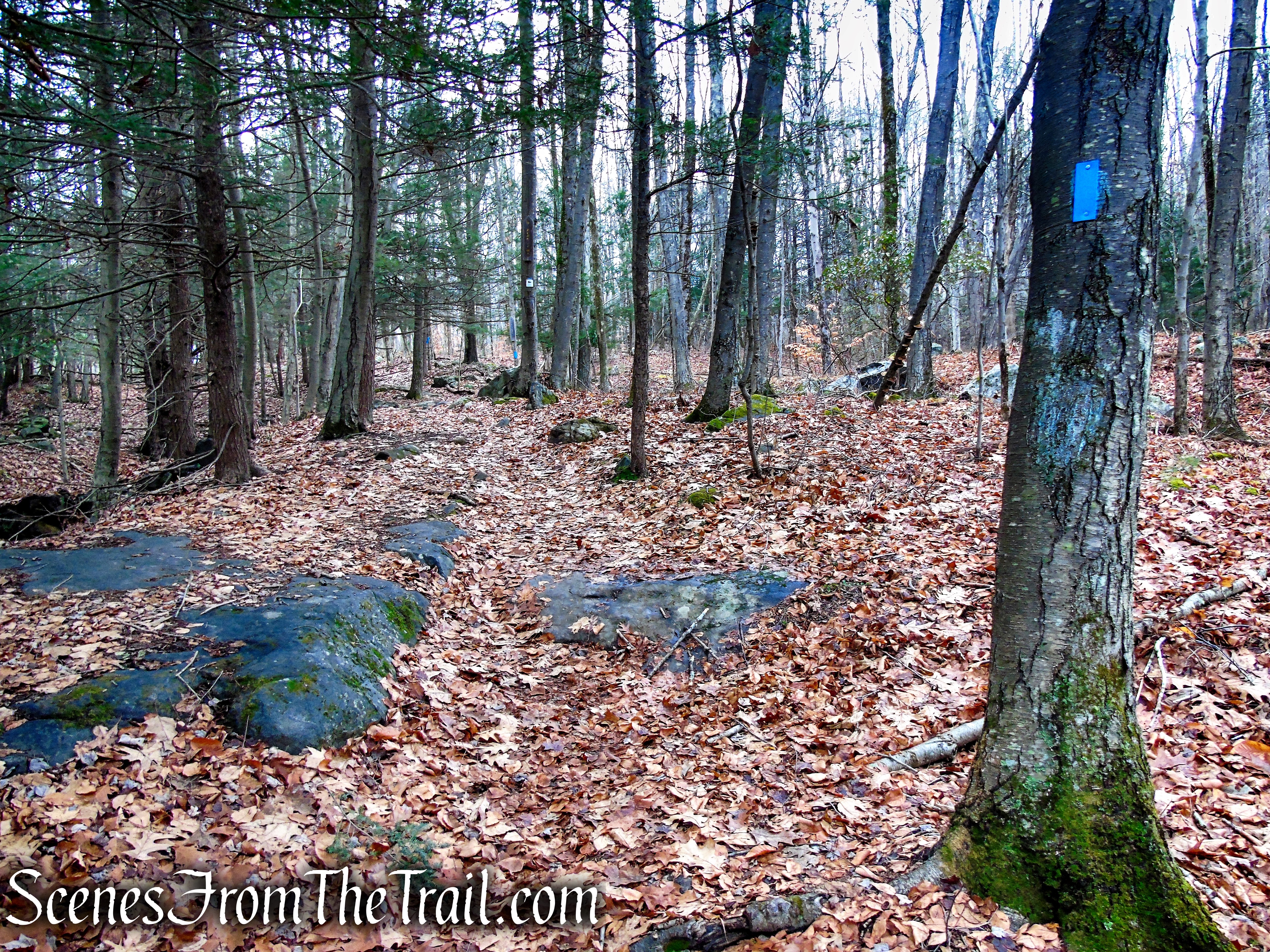 Blue Trail - Prospect Mountain Preserve