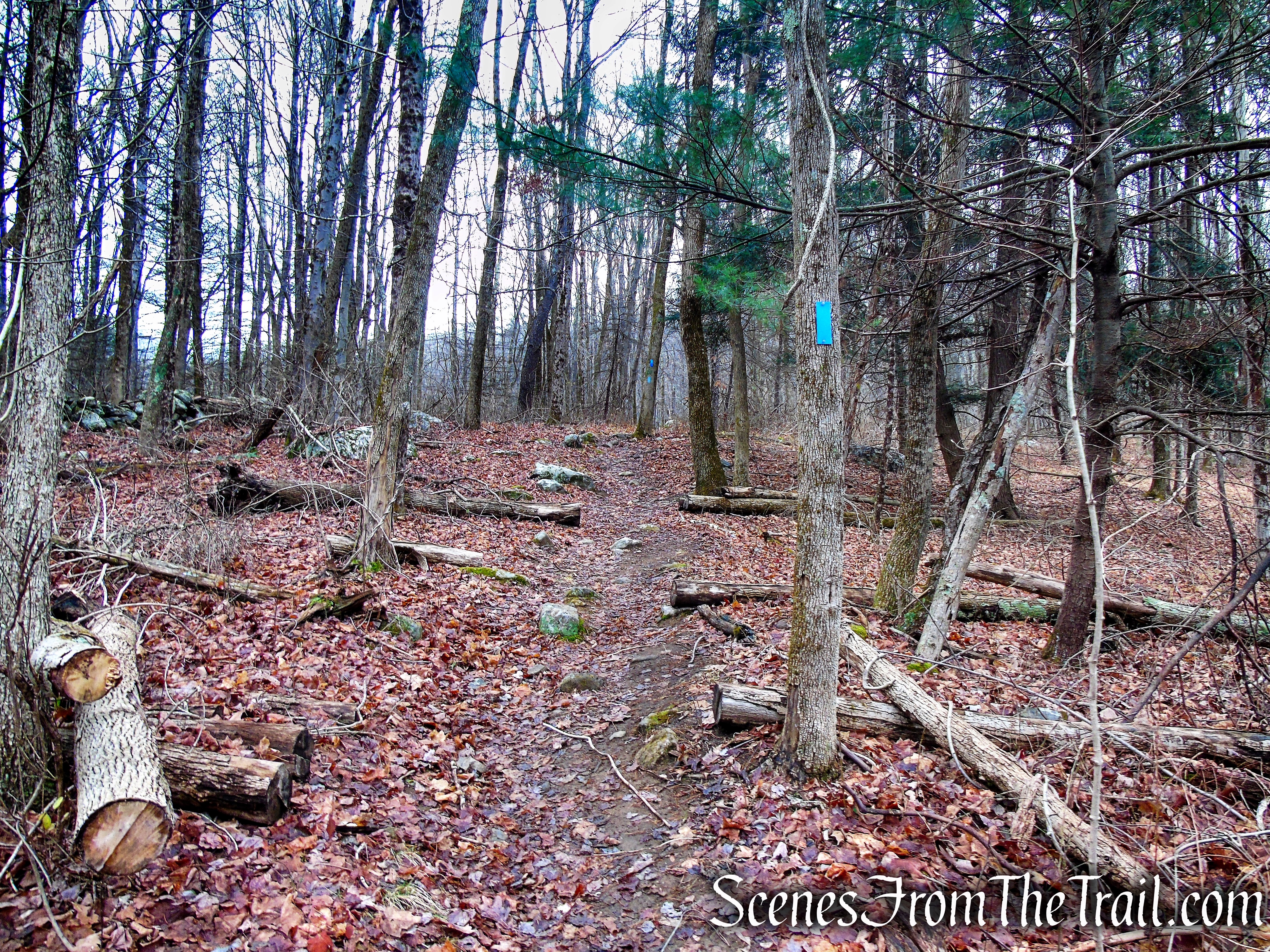 Blue Trail – Prospect Mountain Preserve
