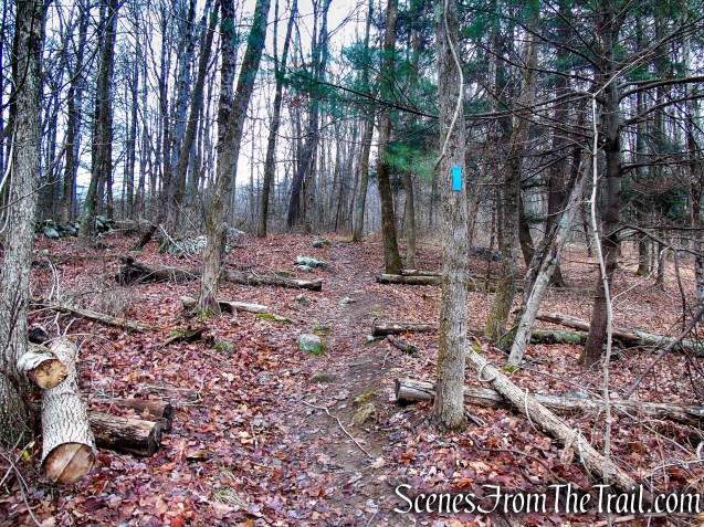 Blue Trail – Prospect Mountain Preserve