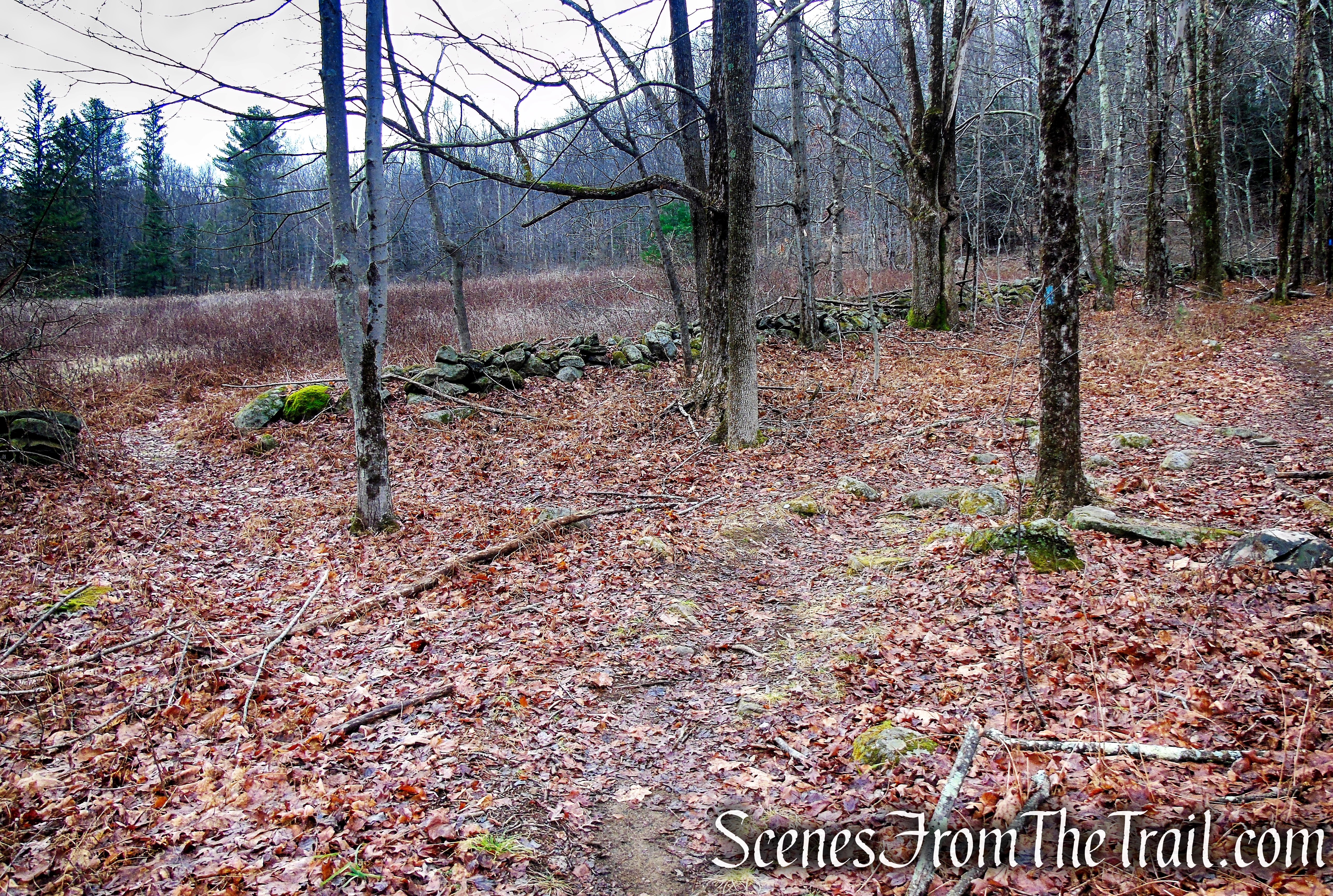 Blue Trail – Prospect Mountain Preserve