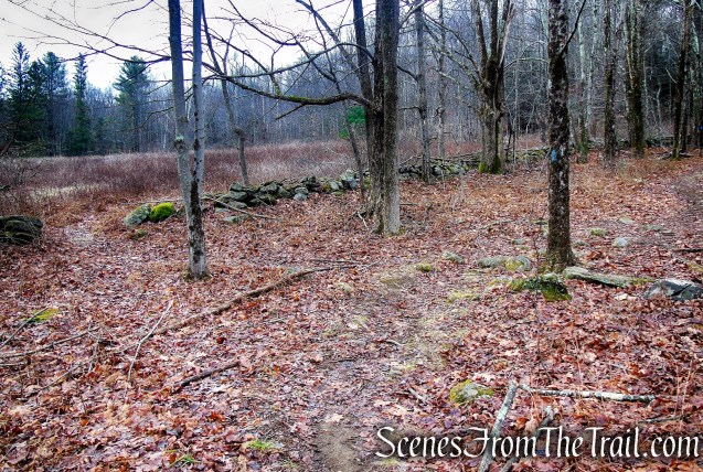 Blue Trail – Prospect Mountain Preserve