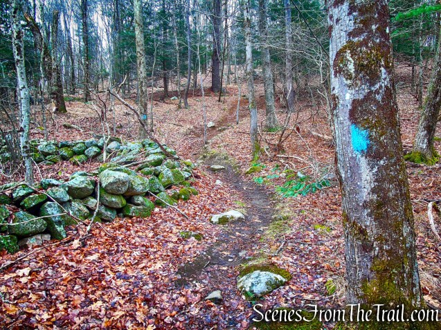 Blue Trail – Prospect Mountain Preserve