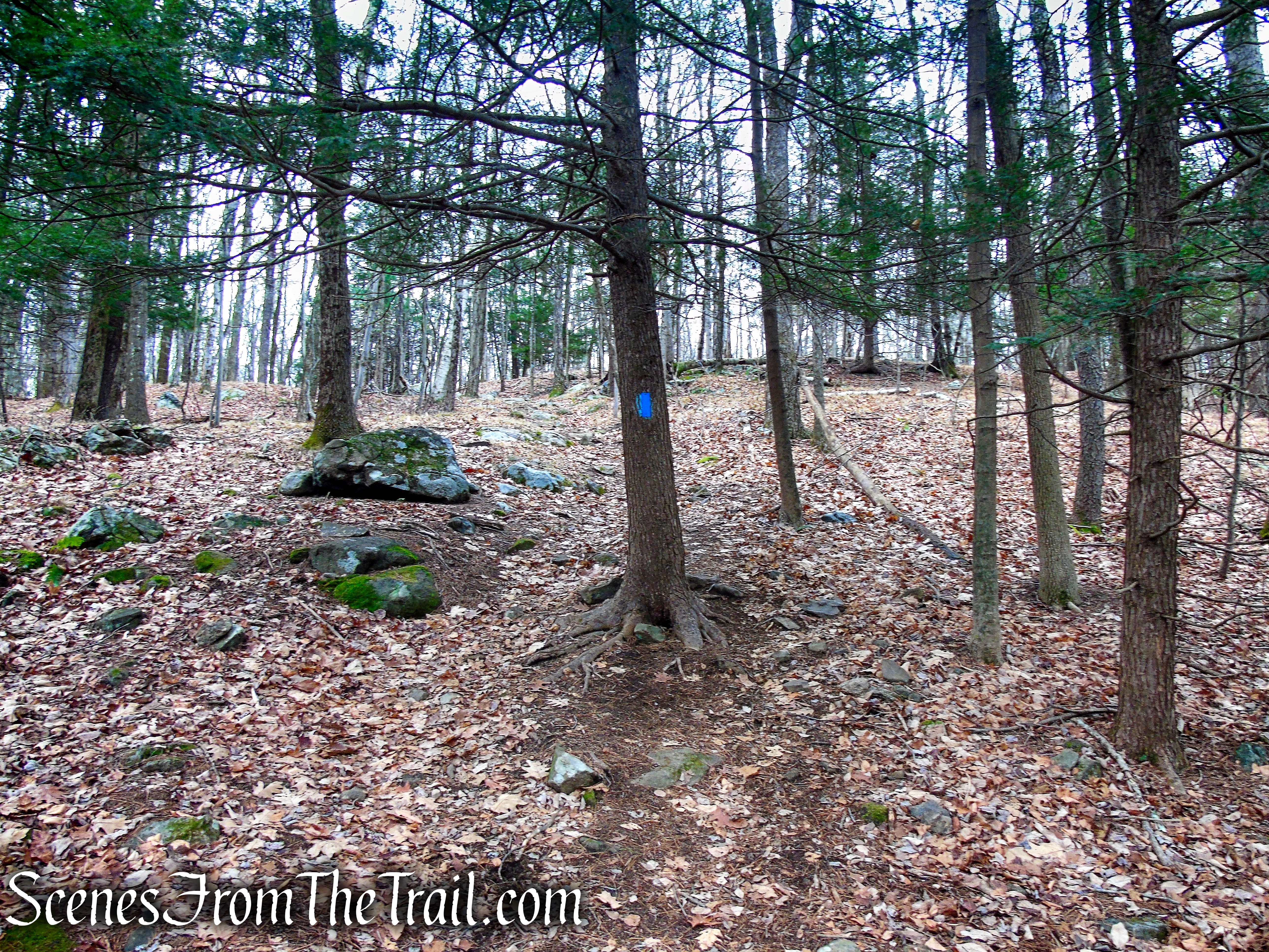 Blue Trail – Prospect Mountain Preserve
