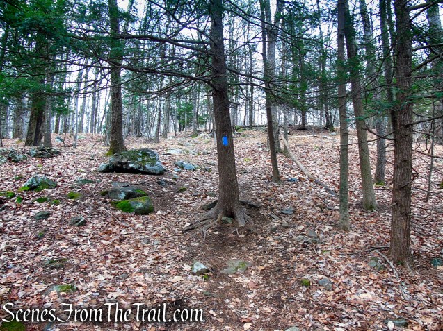 Blue Trail – Prospect Mountain Preserve