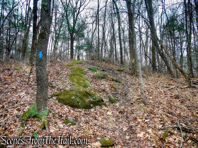 Blue Trail – Prospect Mountain Preserve