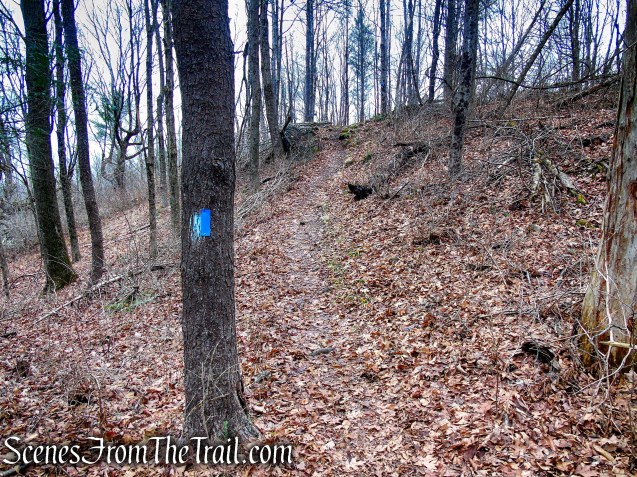 Blue Trail – Prospect Mountain Preserve