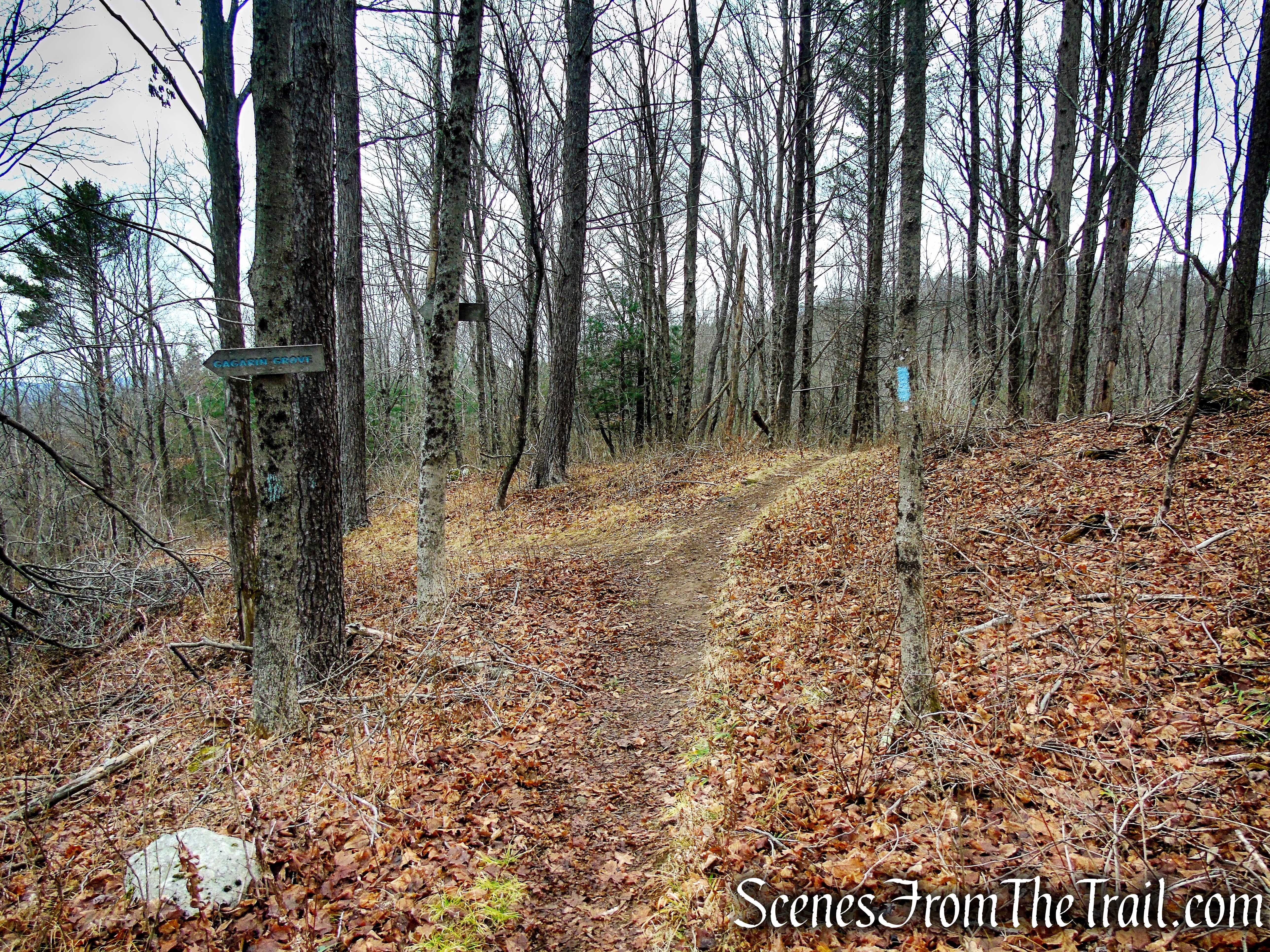 Blue Trail – Prospect Mountain Preserve
