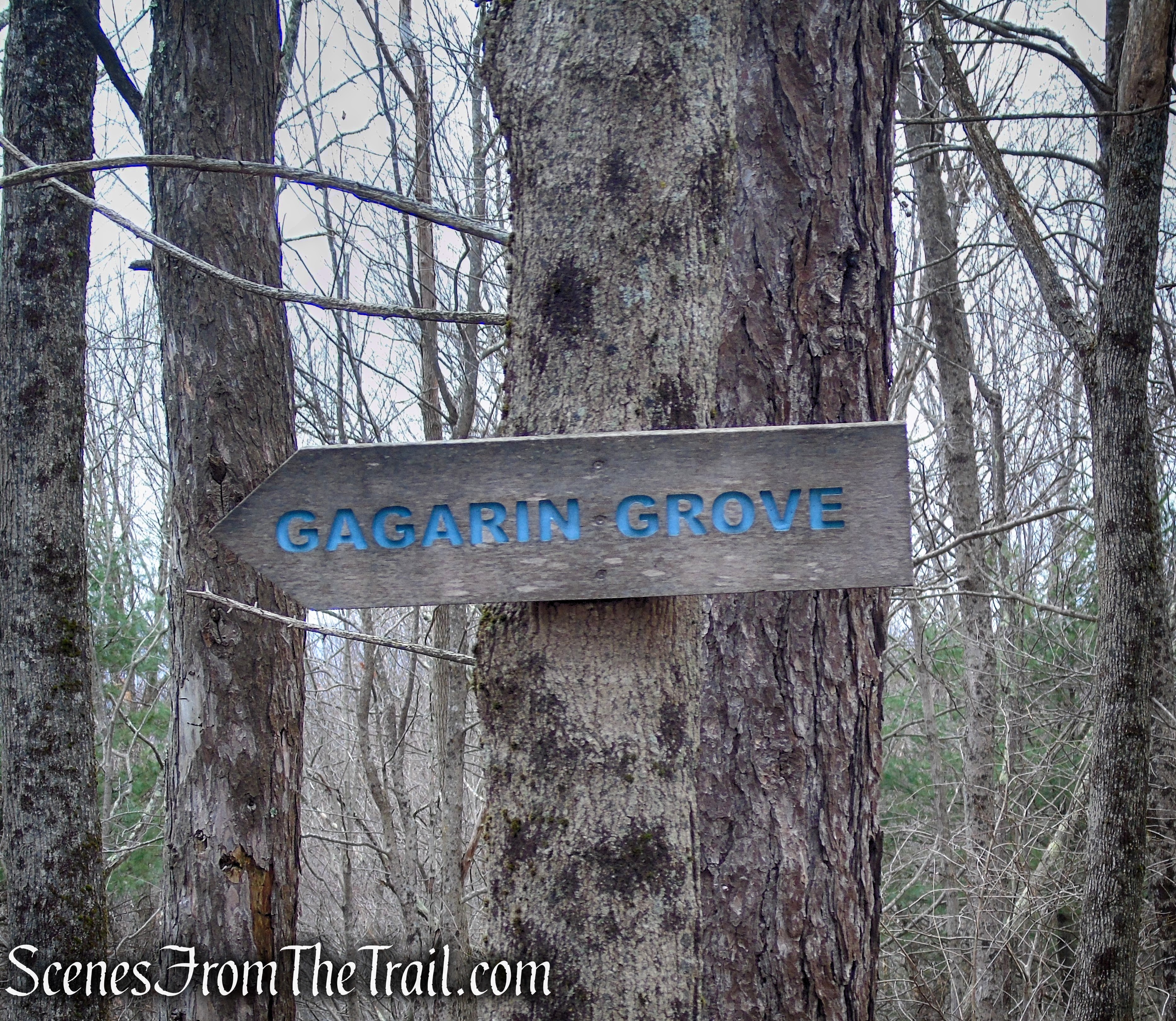 Gagarin Grove – Prospect Mountain Preserve