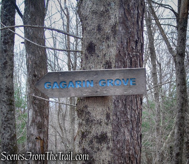 Gagarin Grove – Prospect Mountain Preserve