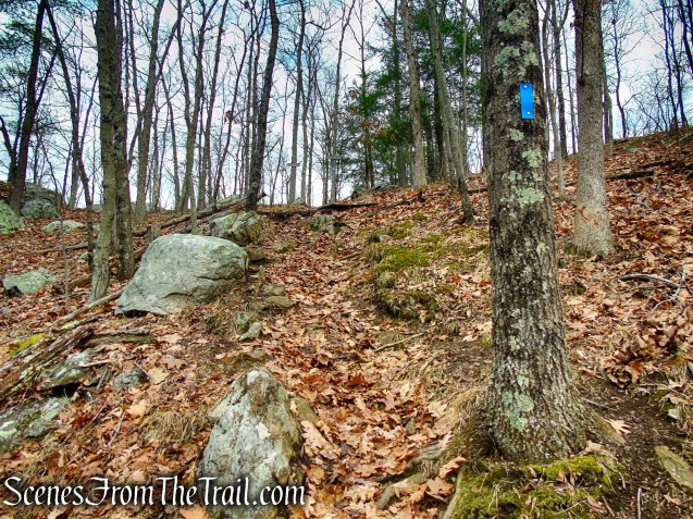 Blue Trail – Prospect Mountain Preserve