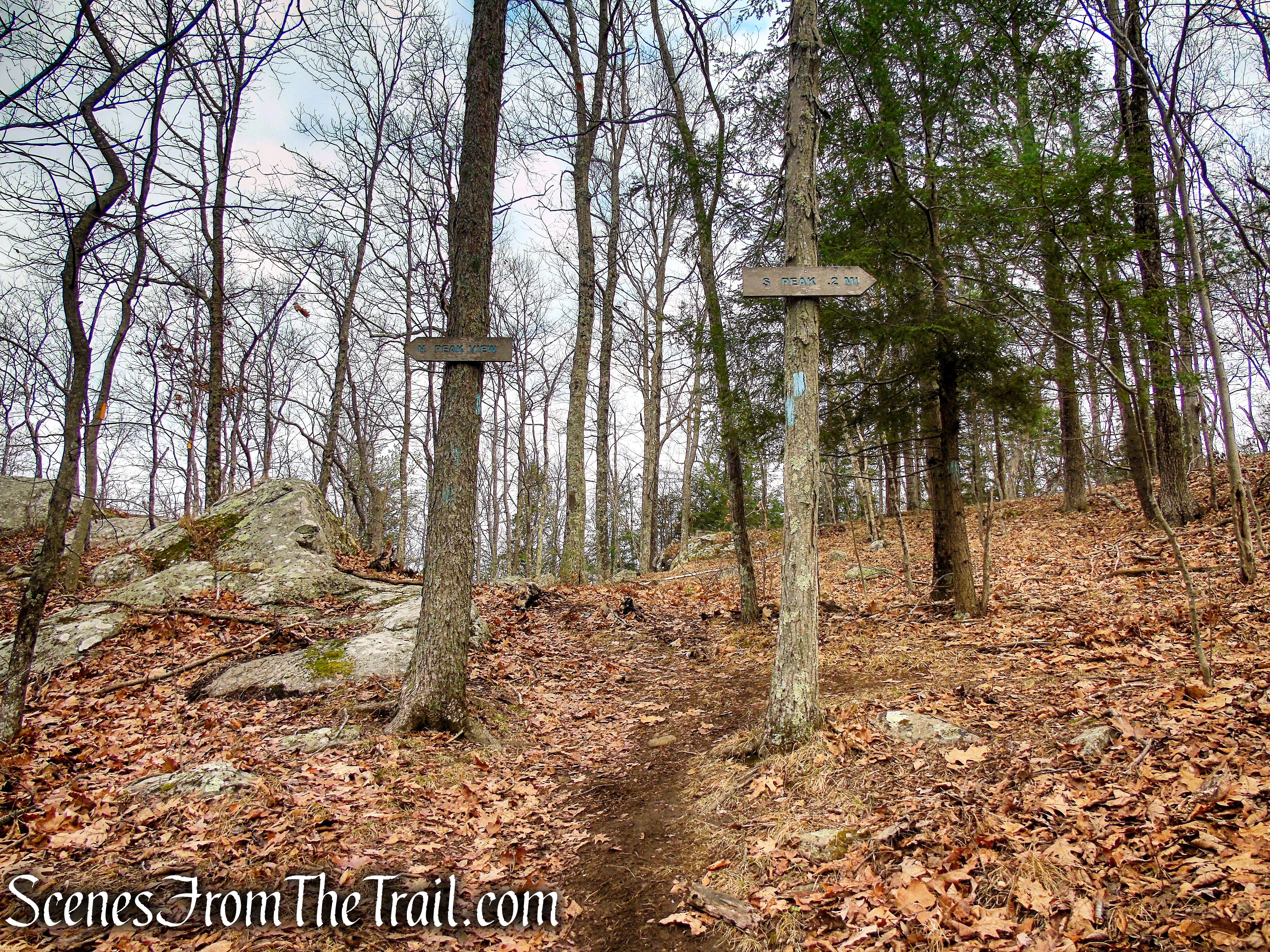 Blue Trail – Prospect Mountain Preserve