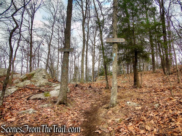 Blue Trail – Prospect Mountain Preserve
