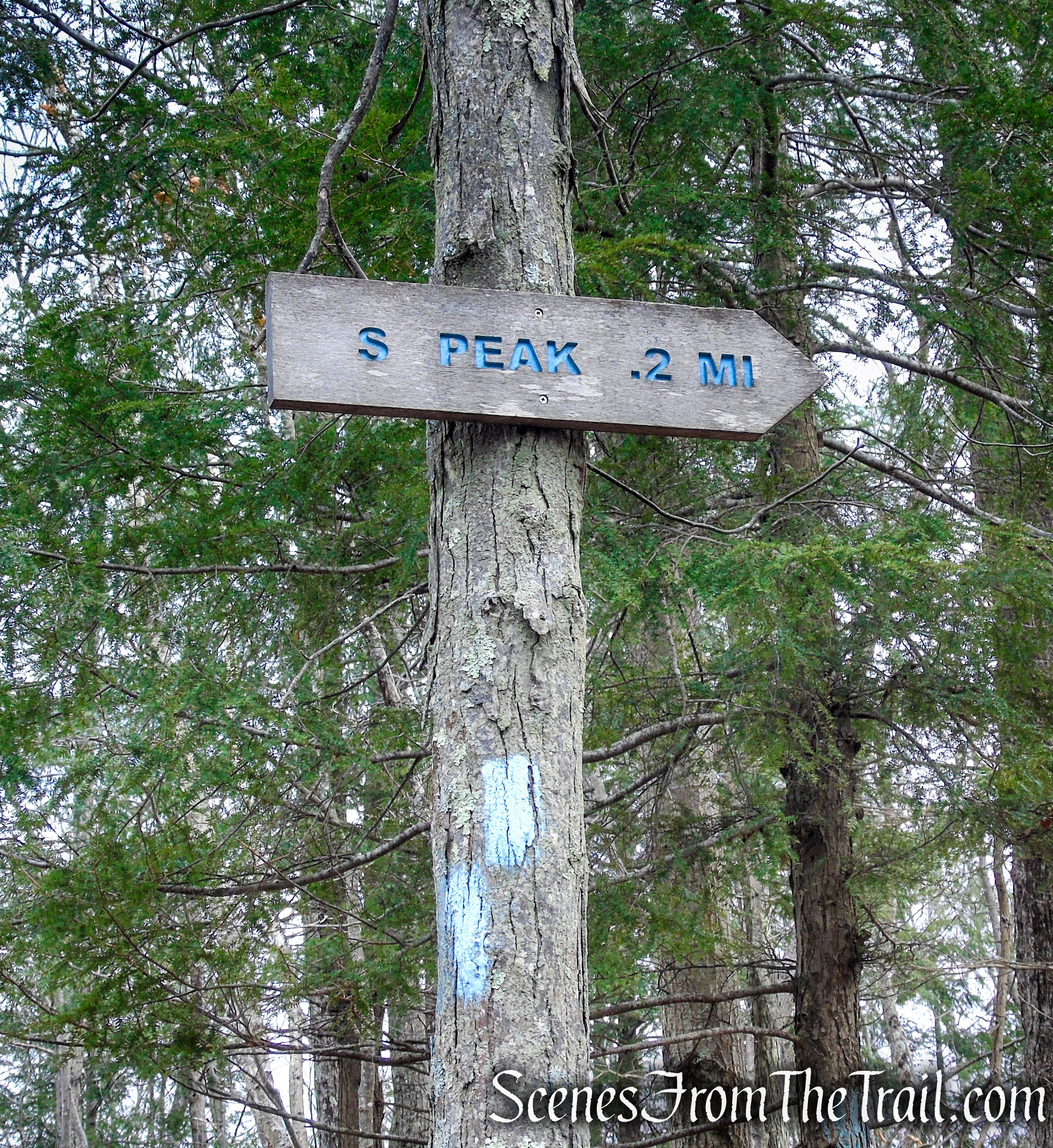 Blue Trail – Prospect Mountain Preserve