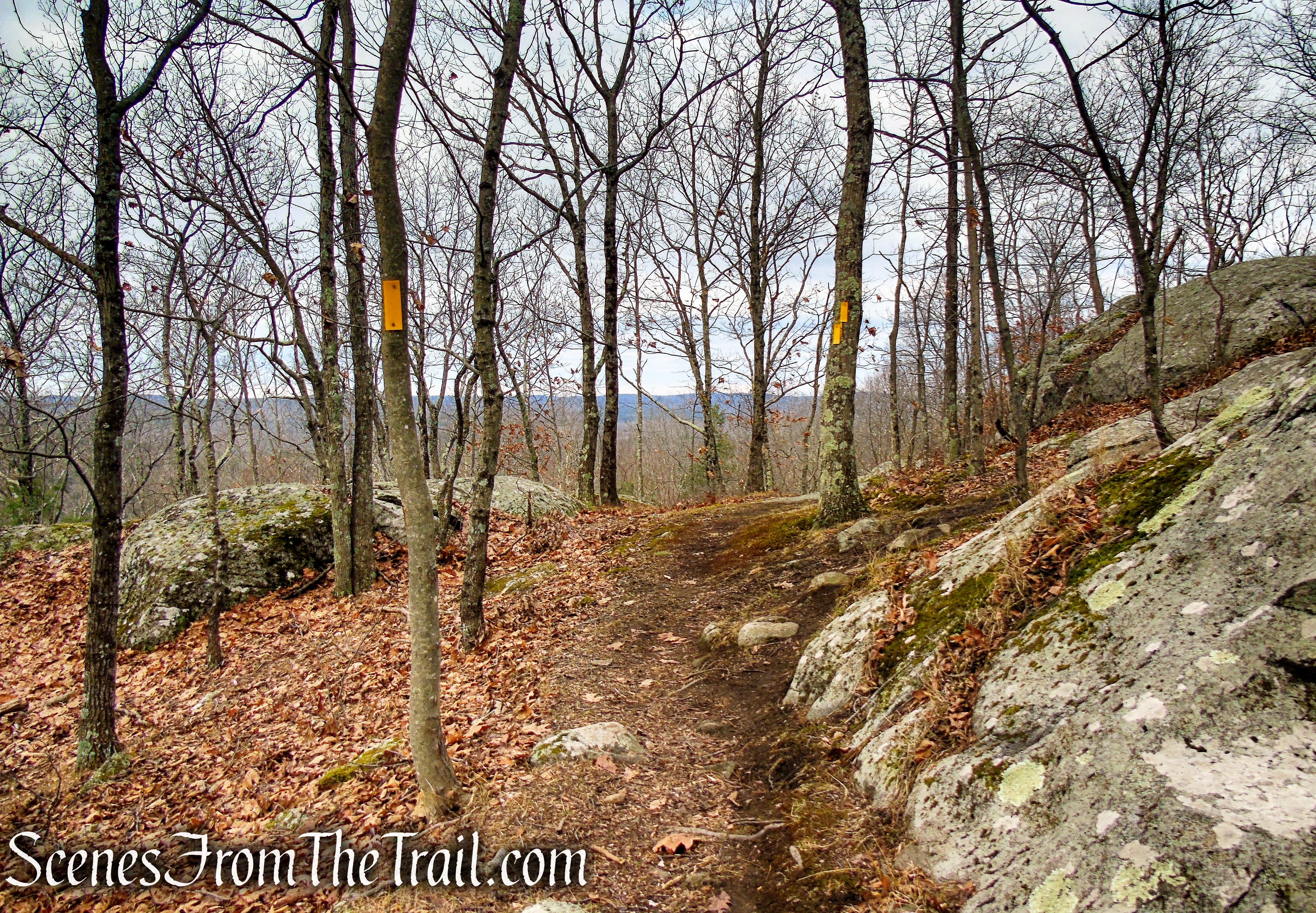 Yellow Trail - Prospect Mountain Preserve