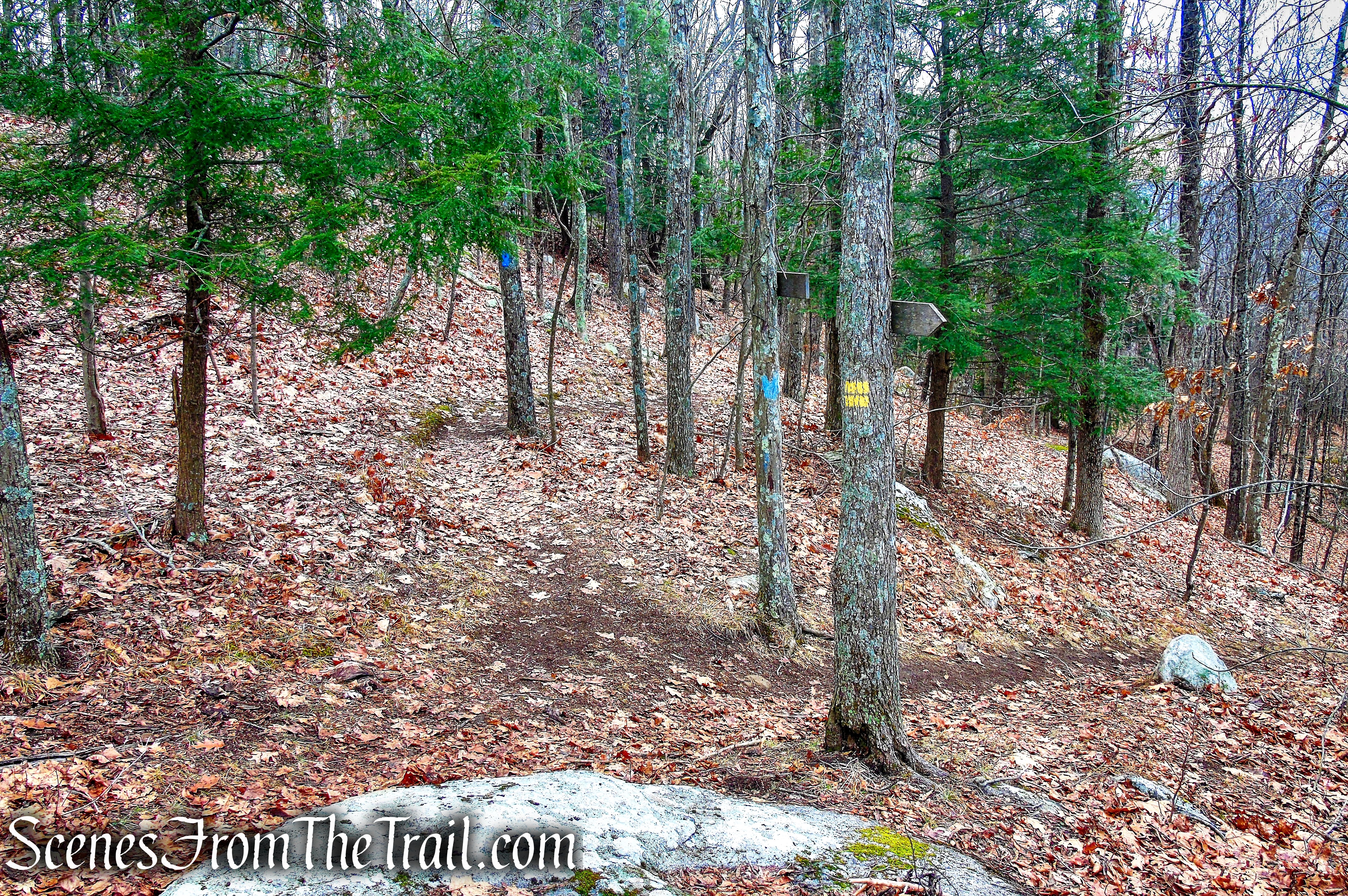 continue ahead on Blue Trail