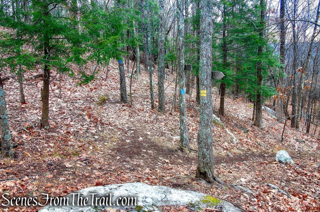 continue ahead on Blue Trail