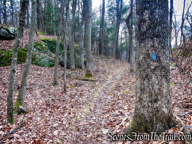 Blue Trail – Prospect Mountain Preserve