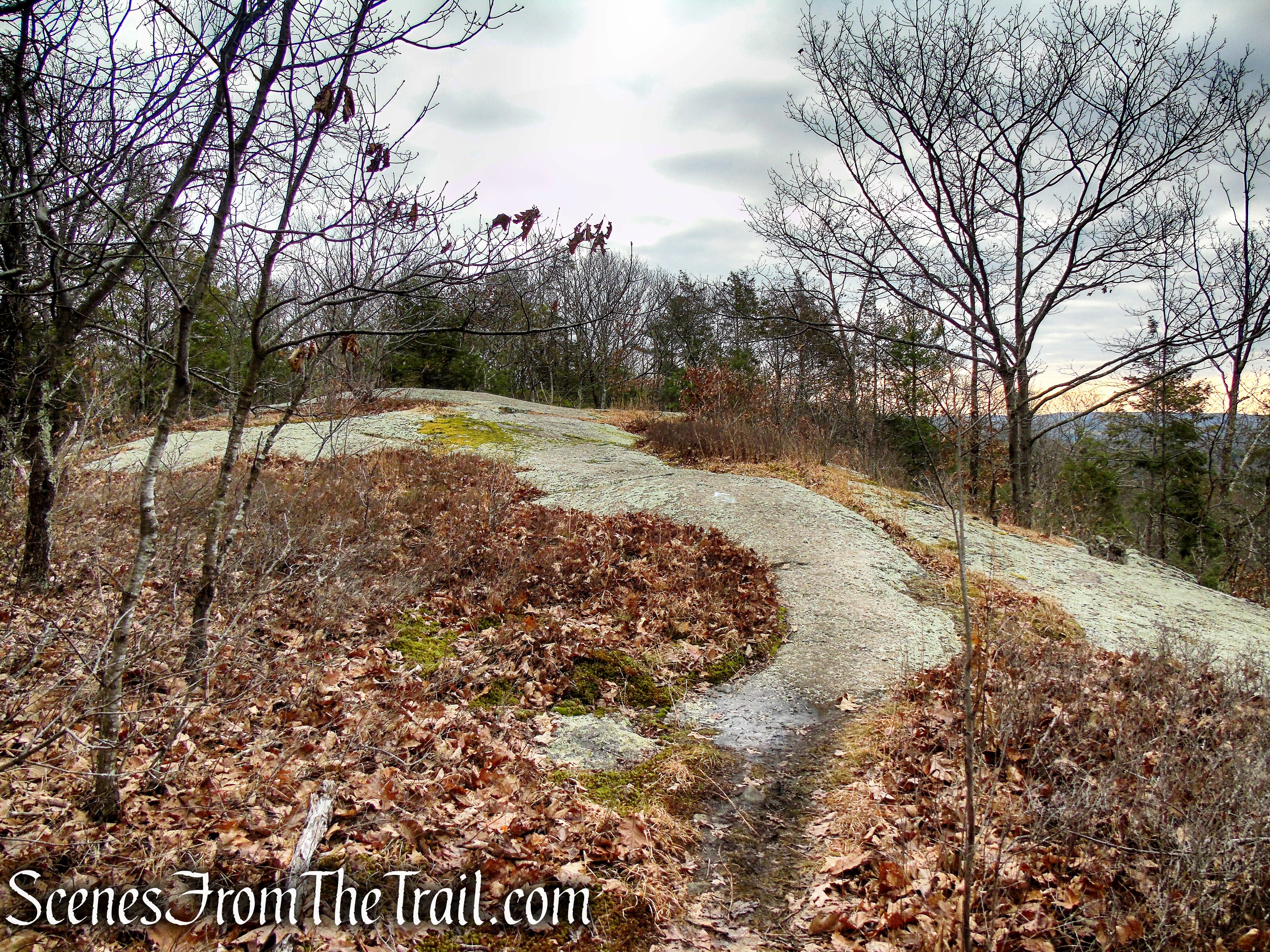 South Summit – Prospect Mountain Preserve