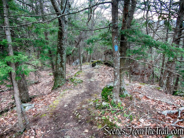Blue Trail – Prospect Mountain Preserve