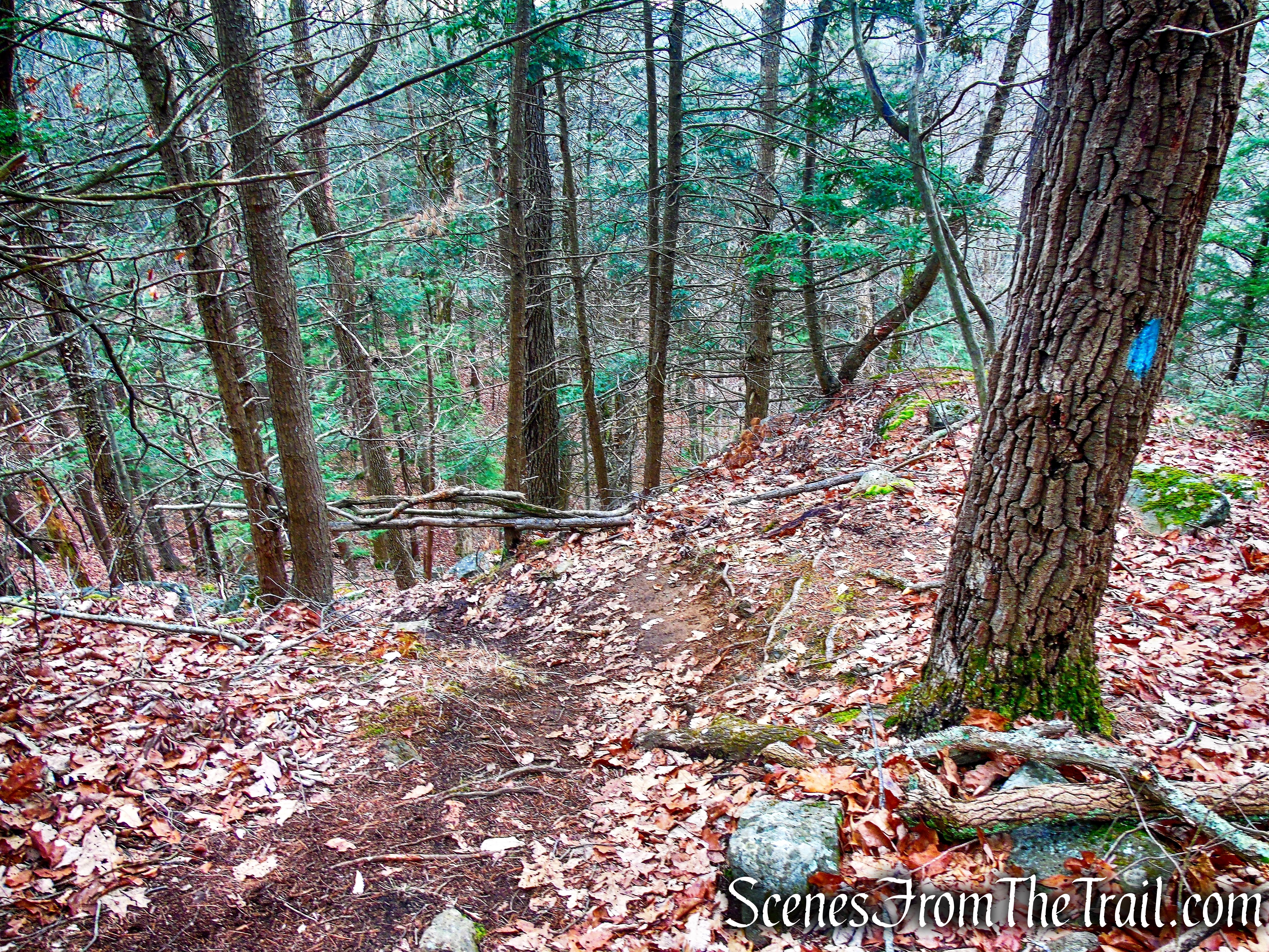 Blue Trail – Prospect Mountain Preserve