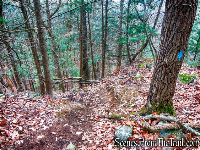 Blue Trail – Prospect Mountain Preserve