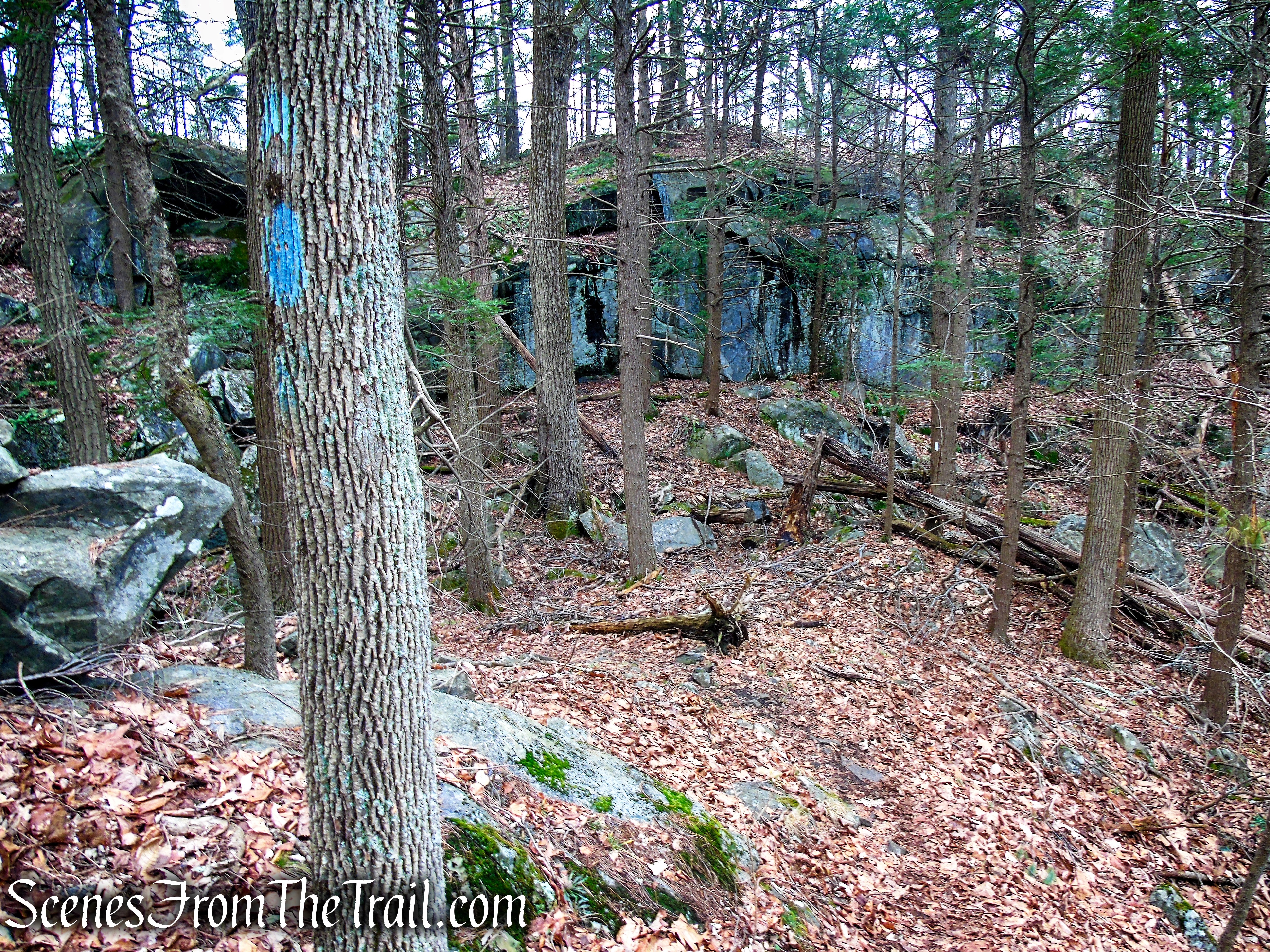 Blue Trail – Prospect Mountain Preserve