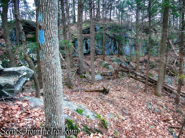 Blue Trail – Prospect Mountain Preserve