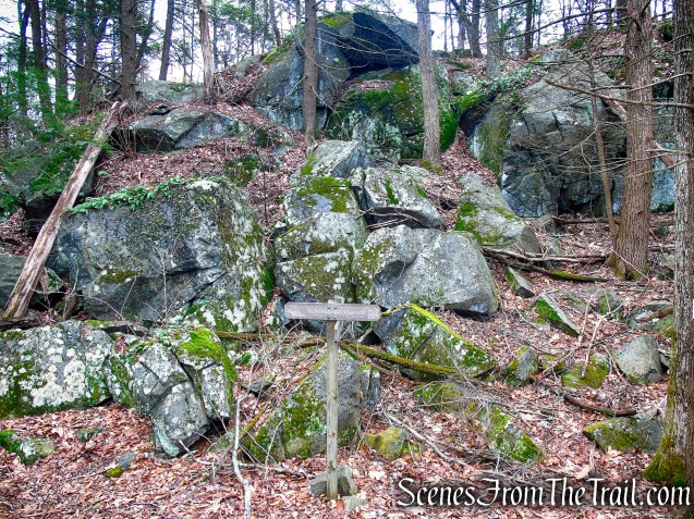 turn left to remain on Blue Trail