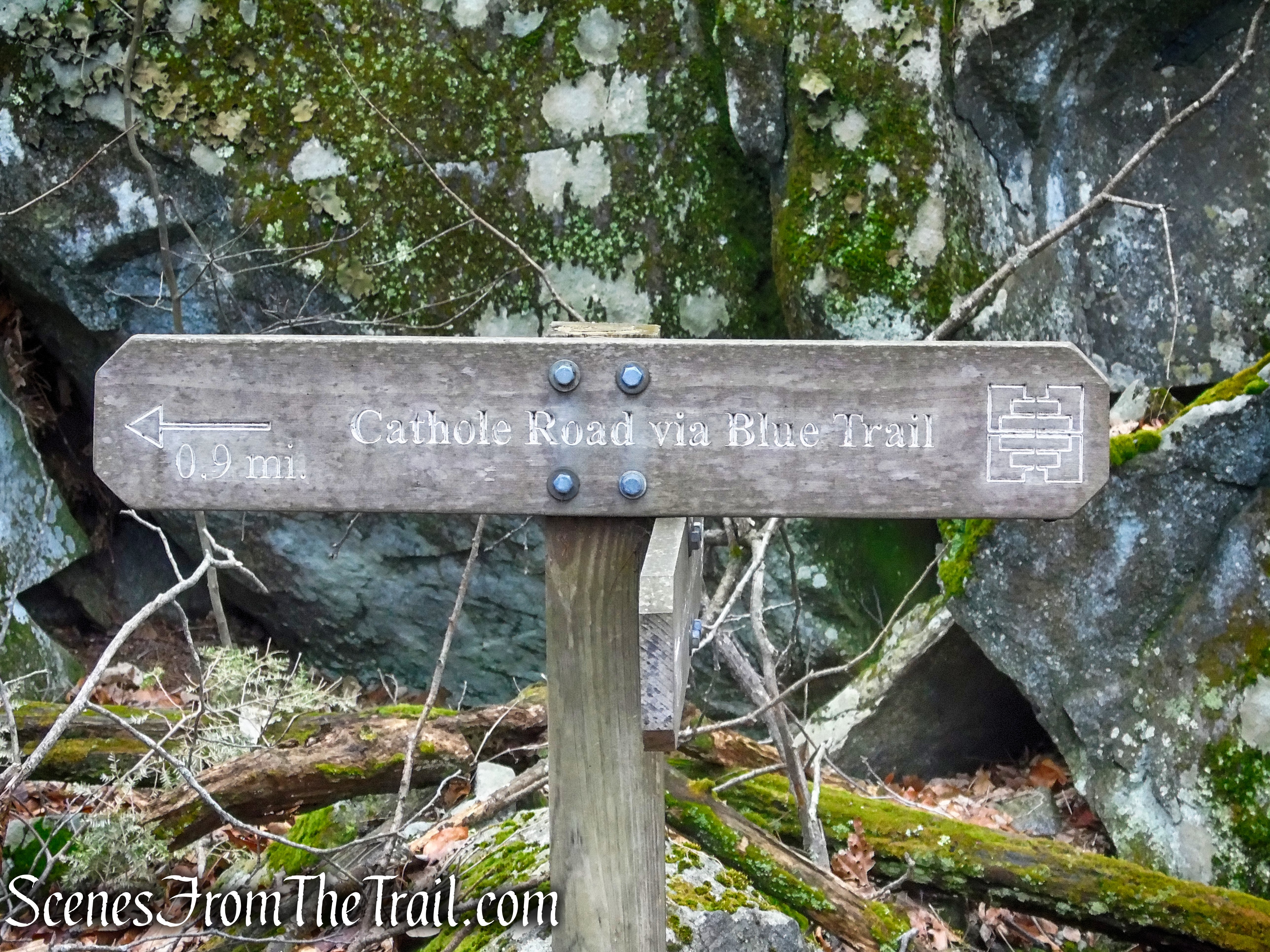 turn left to remain on Blue Trail