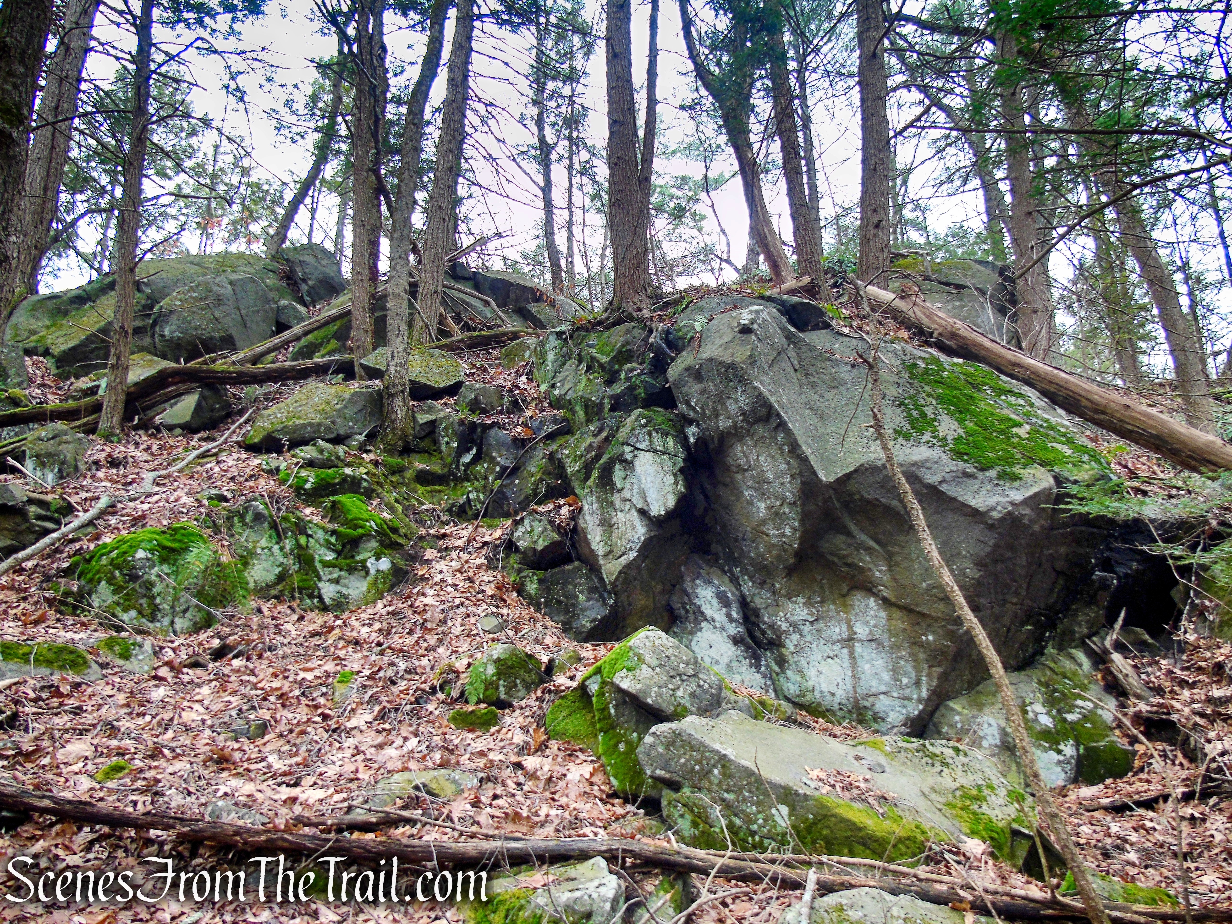 rock formations at junction of Blue/White Trails