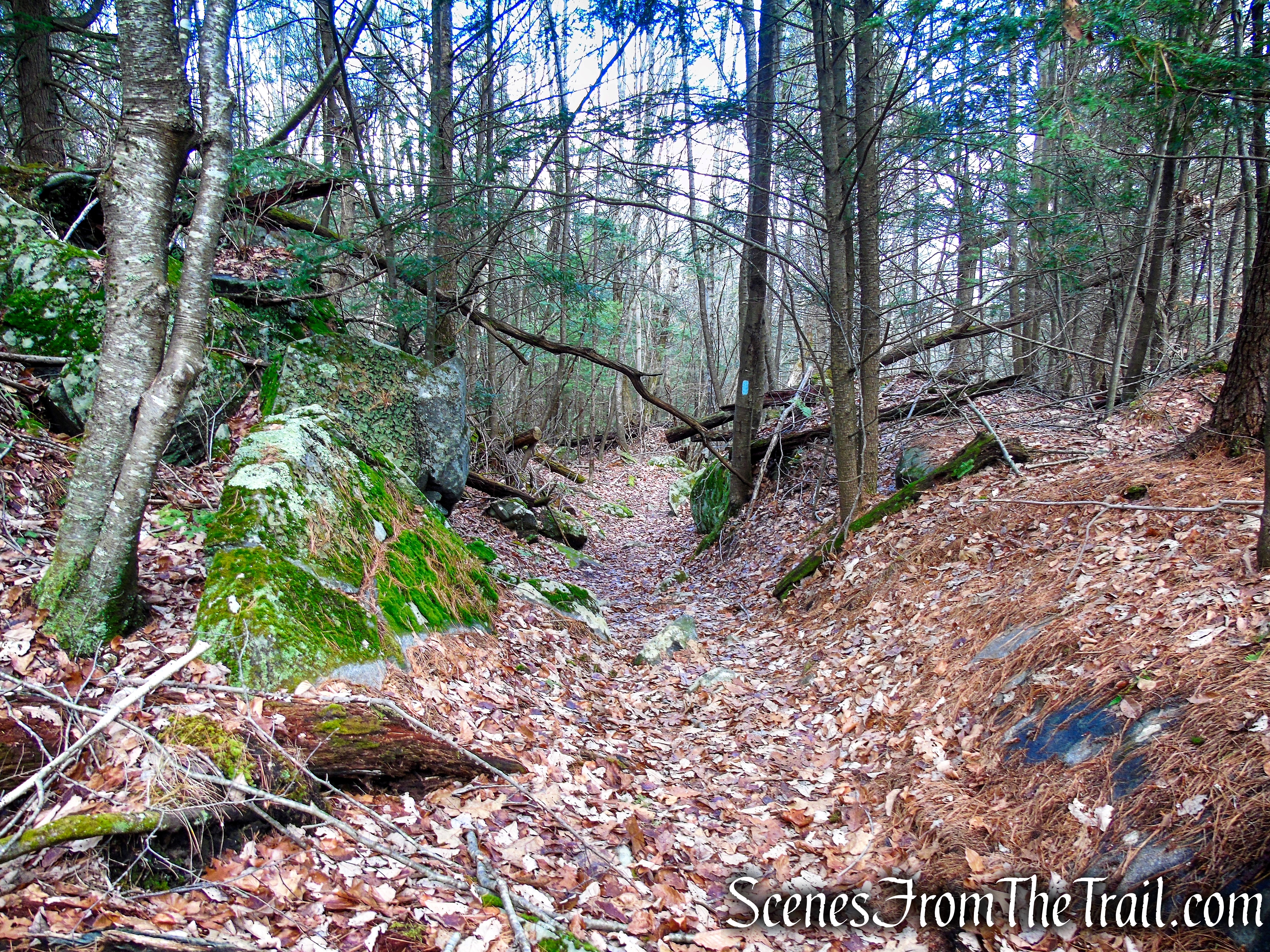 Blue Trail – Prospect Mountain Preserve