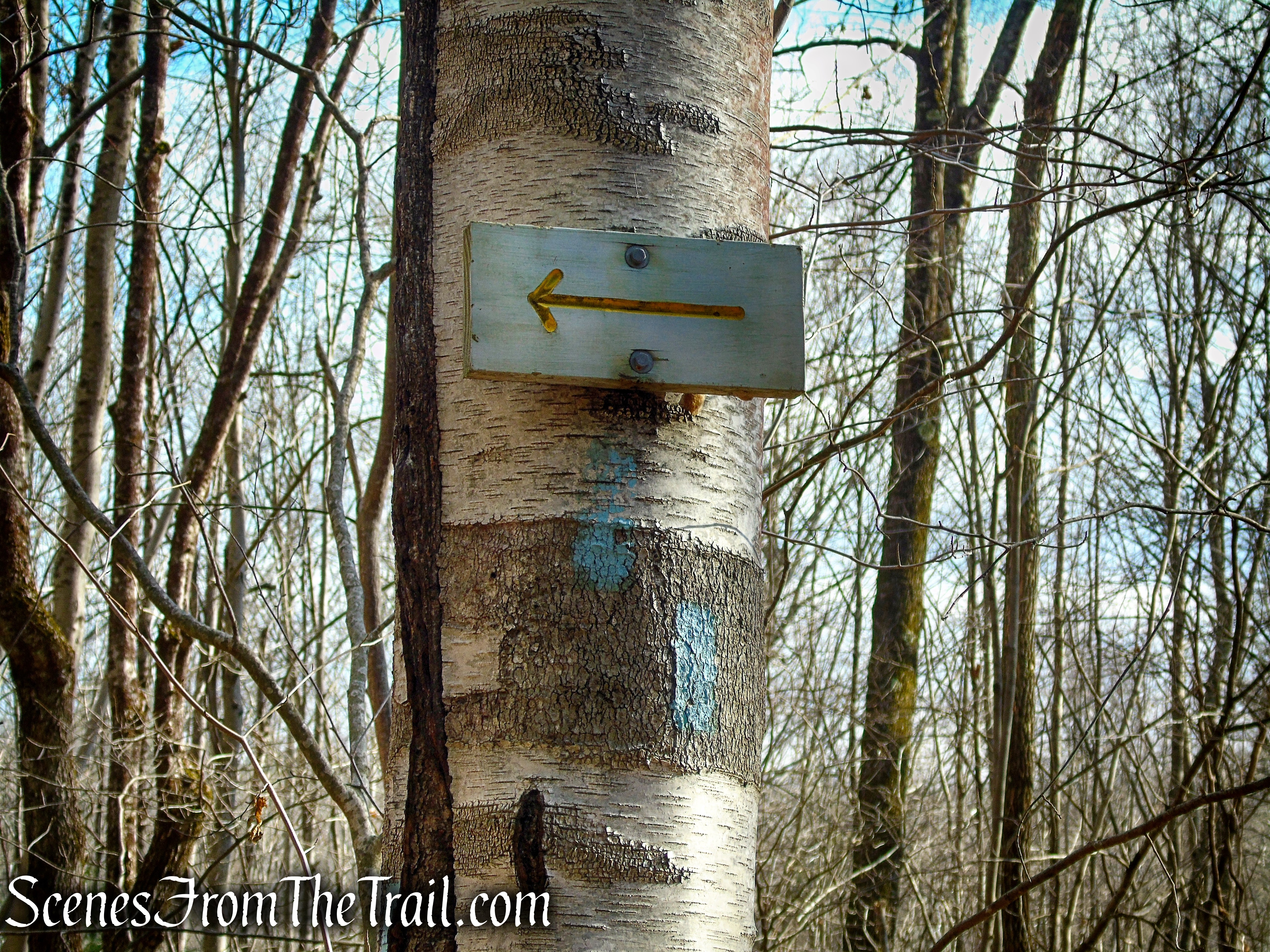 Blue Trail turns left