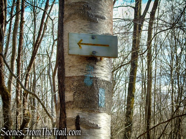 Blue Trail turns left