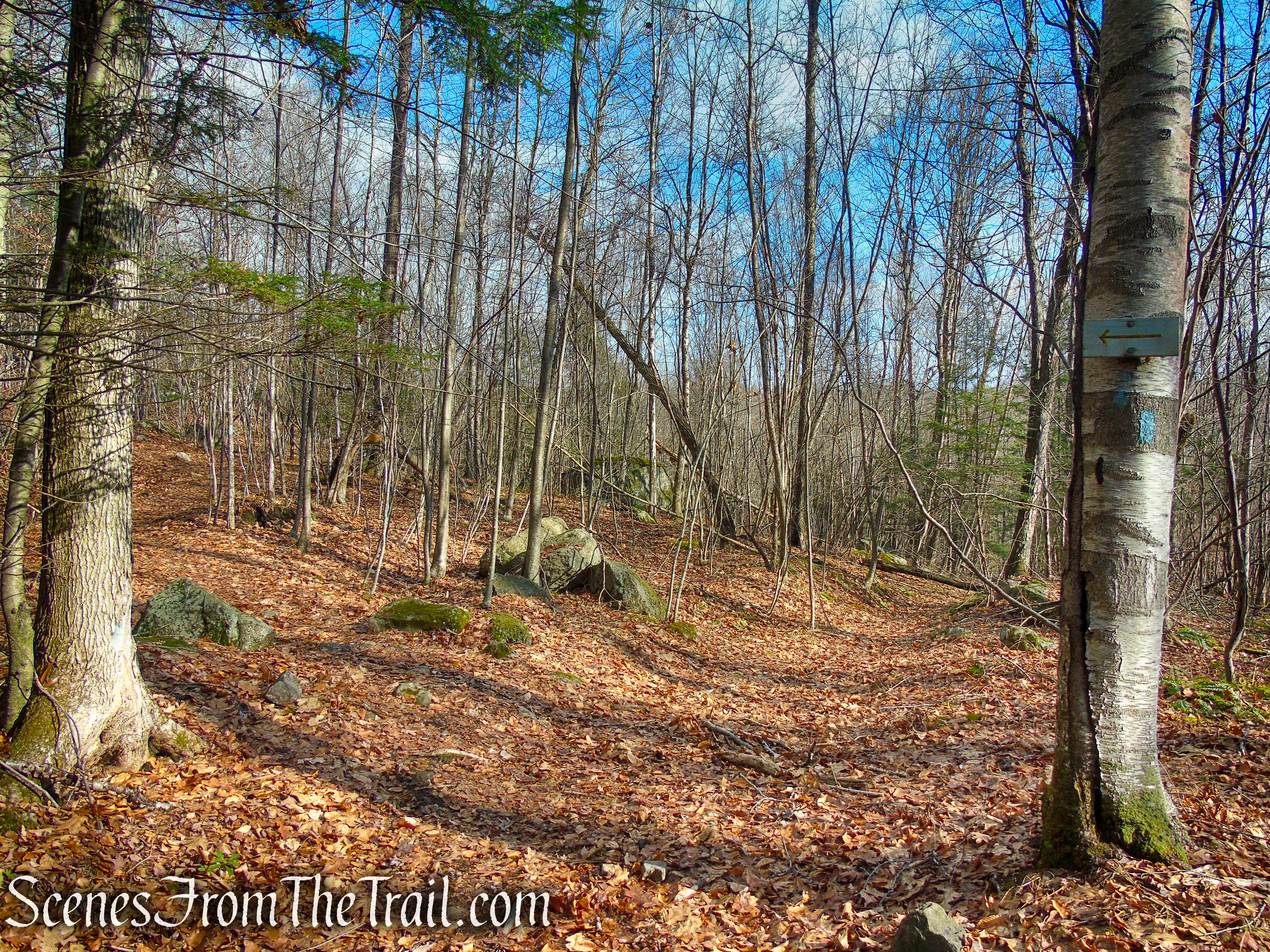 Blue Trail turns left