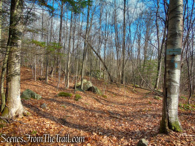Blue Trail turns left
