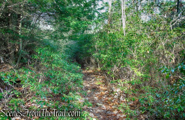 Blue Trail – Prospect Mountain Preserve