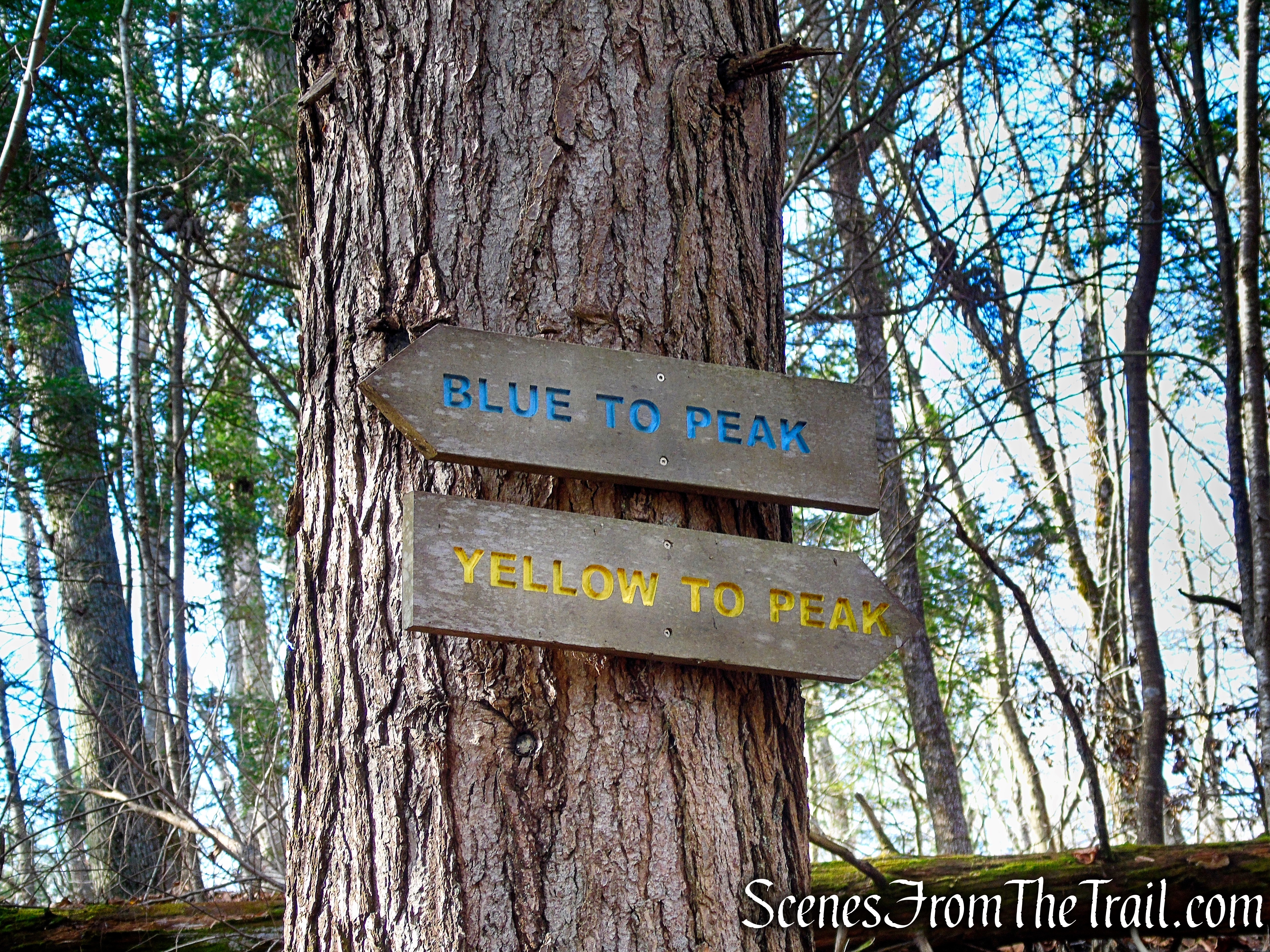 Cathole Road trailhead junction