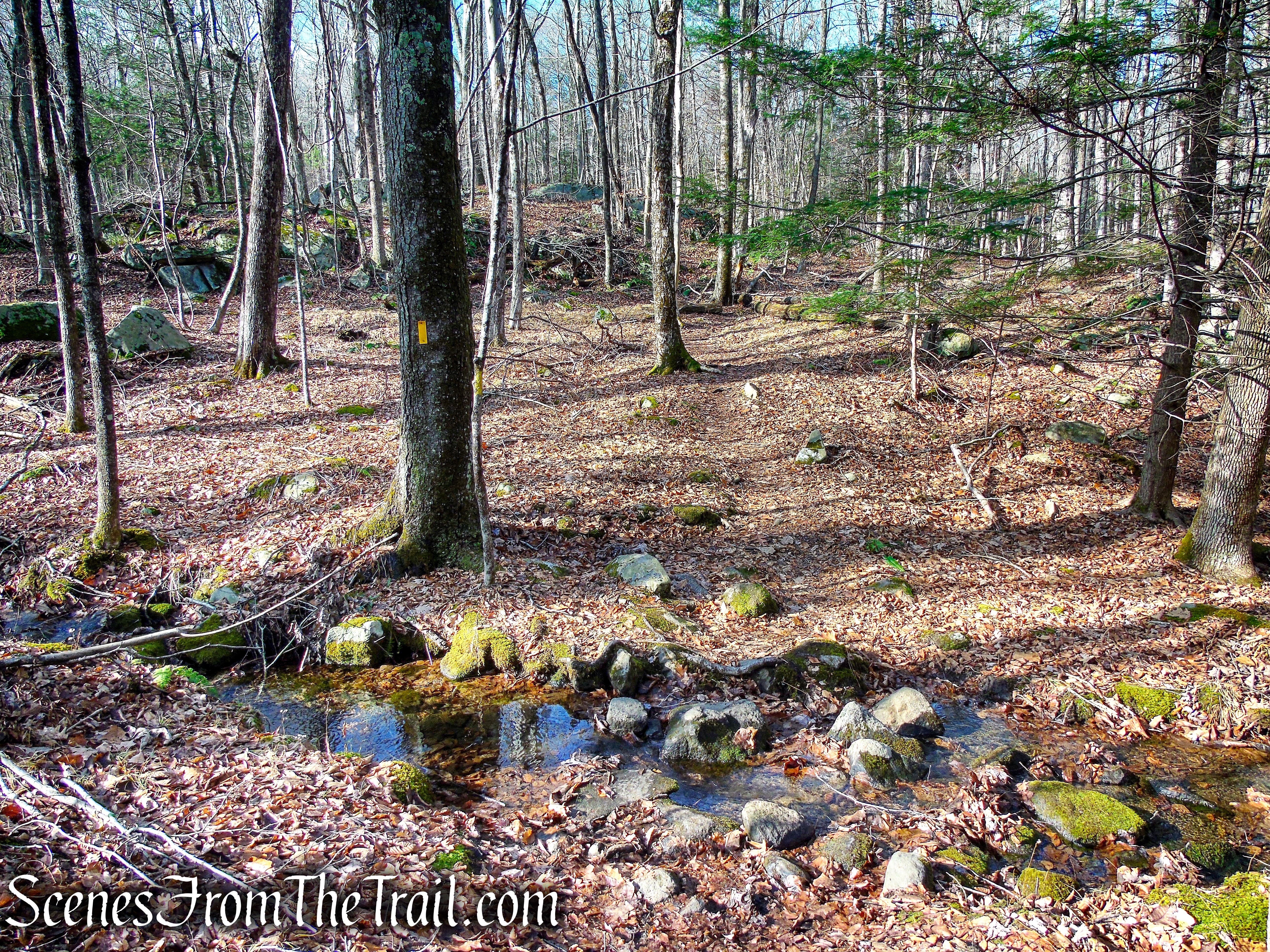 Yellow Trail – Prospect Mountain Preserve