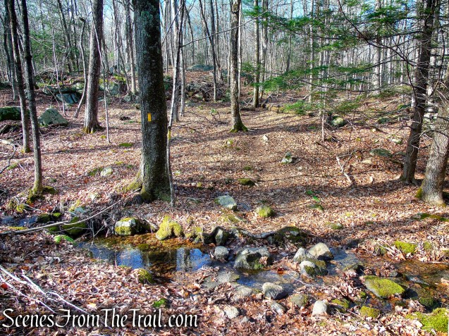 Yellow Trail – Prospect Mountain Preserve
