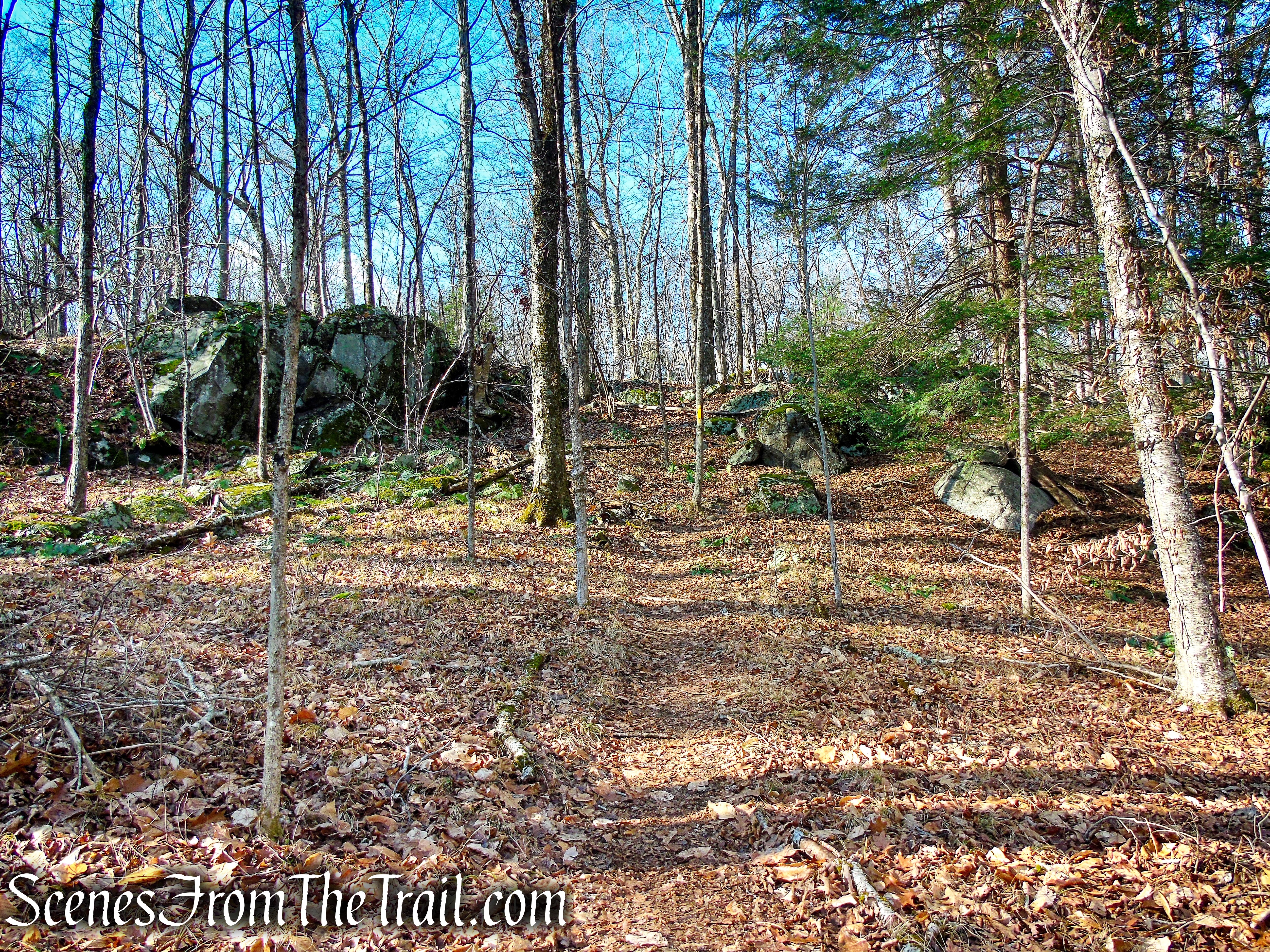 Yellow Trail – Prospect Mountain Preserve