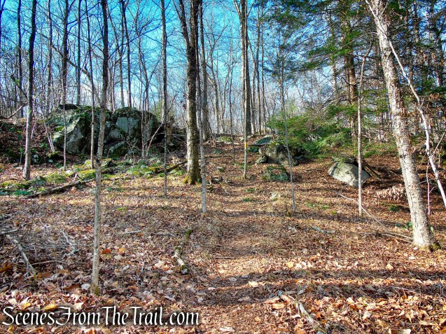 Yellow Trail – Prospect Mountain Preserve