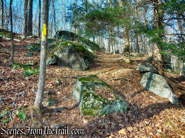 Yellow Trail – Prospect Mountain Preserve